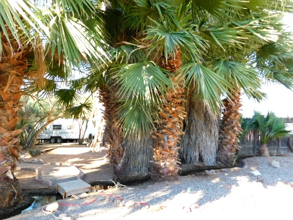 992556335A25F5622E73A2