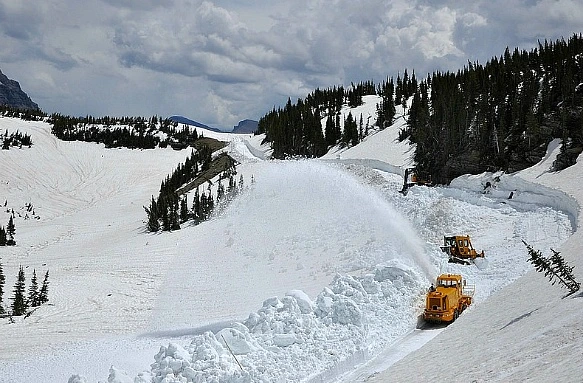 2451EC3853F29AA418C71C