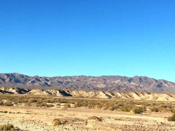 995366335A21DE9A1B1A3F