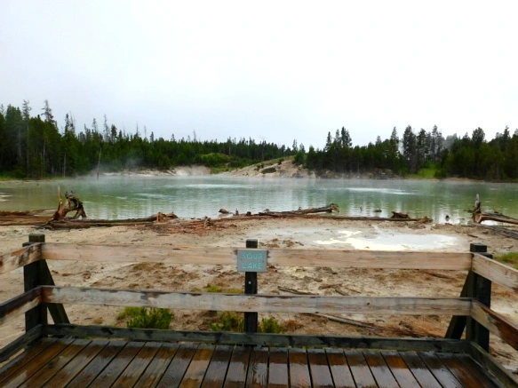 994AE5495B39A82A0336F3