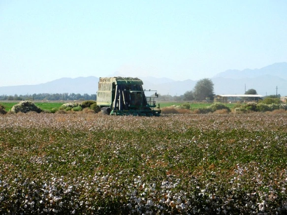 99CE77335A28AE6E0849B7