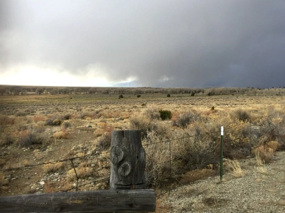 257CDC4957004AF61D3D5F