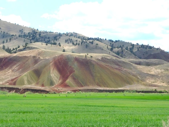 995FD84F5B2DE4623C0972