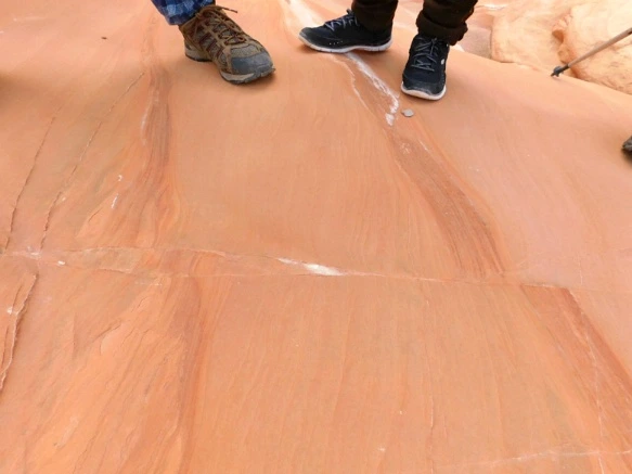 99EEC5335A18D4EC1F6F0C