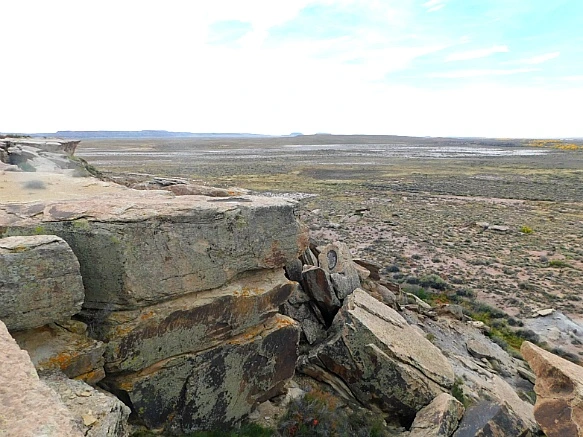 99E0493D5BE6788521C5F1