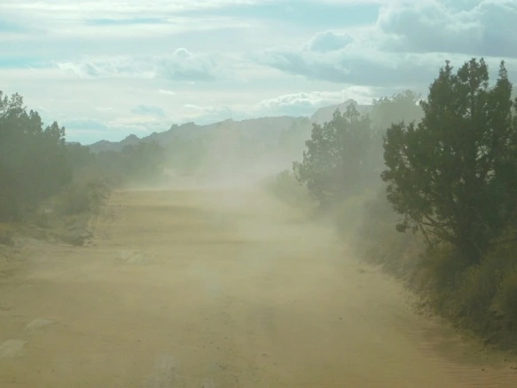 990793335A18D4A246D168