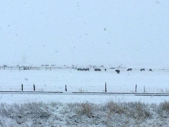 221AF4425701DC3201A583