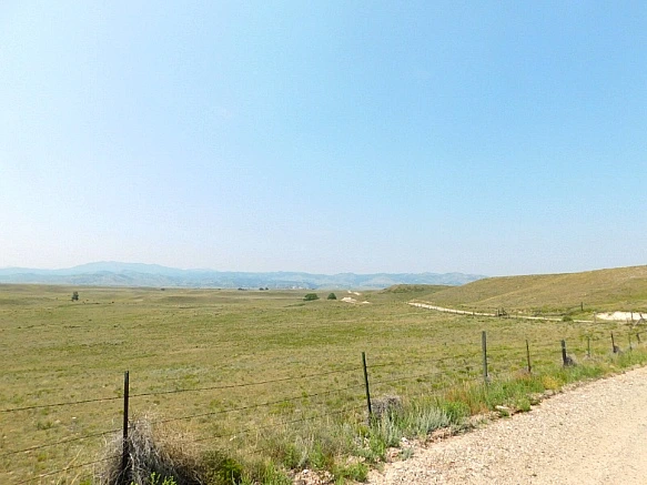 99D3E1455B7655D4331B22