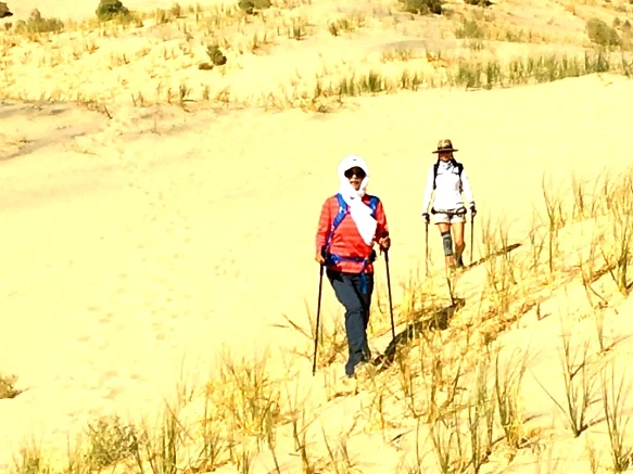 990890335A20BCAA3DD102