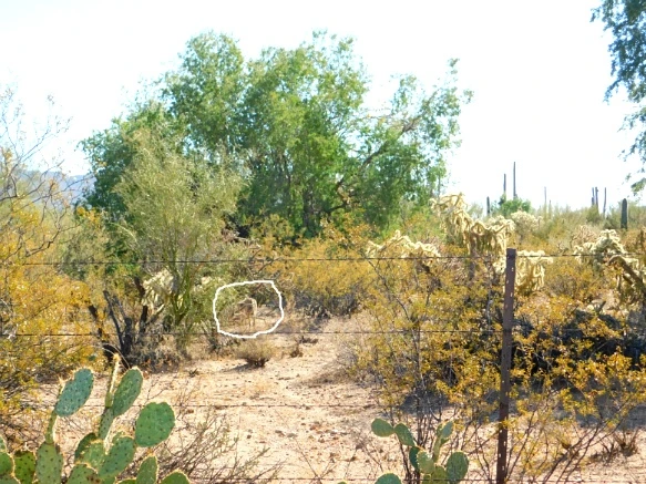 996EB8335A2A47EA0EDB61