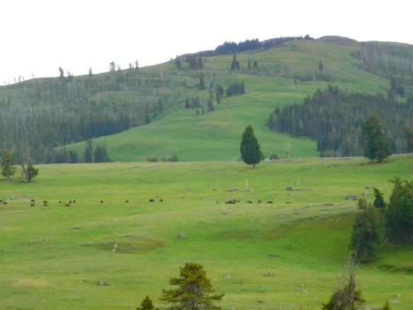 9918C83F5B3AF1E82CB881