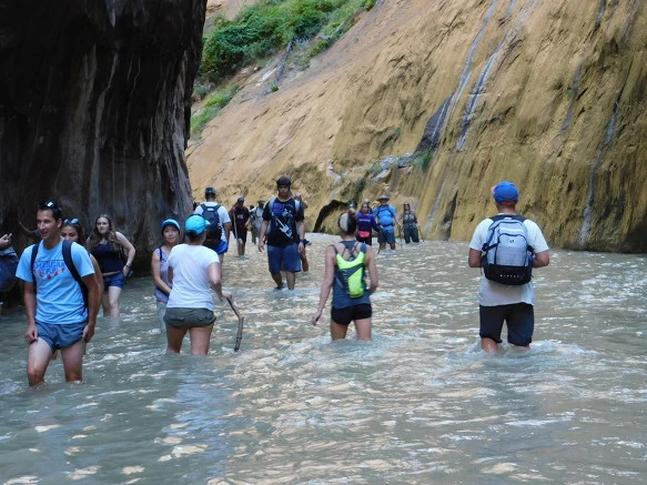 993E503359BB13083860B9