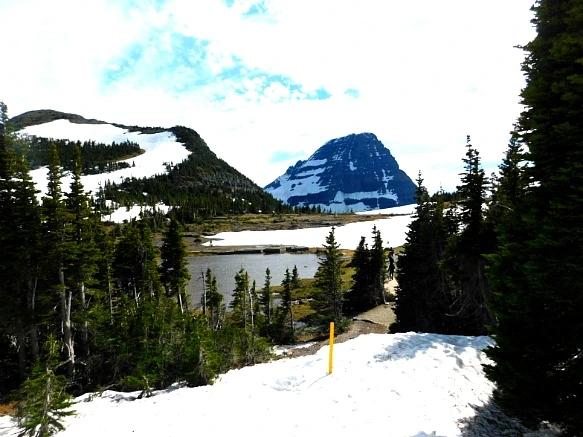 99BD444F5B3577850A1064