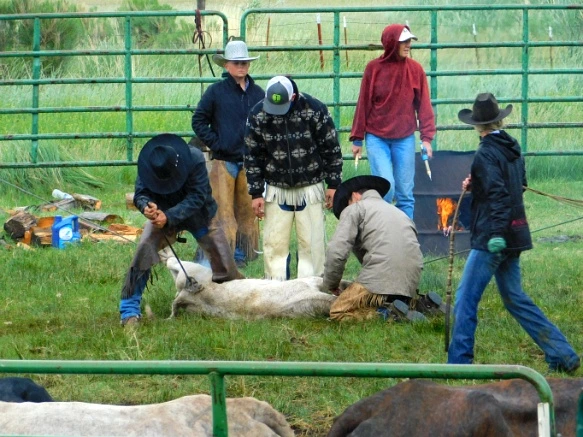 9968E7485B2DDE28117478