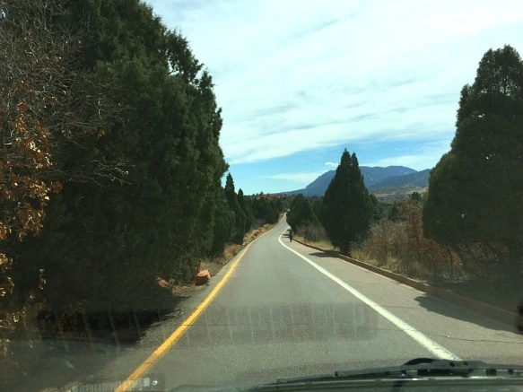 266C1C4E56F5F6632E2AEE