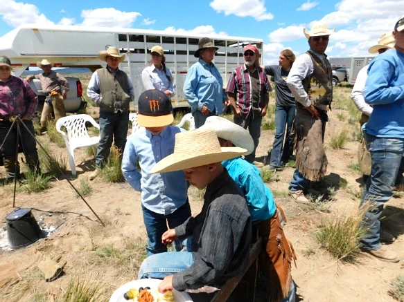 2645D6425936354C12BC0A