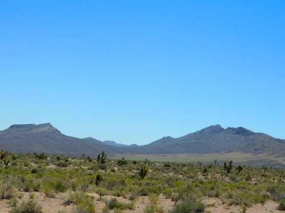 2317AD3D576CC64802F968