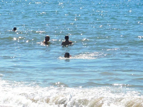 99E2724E5B5DFC4A04C90F