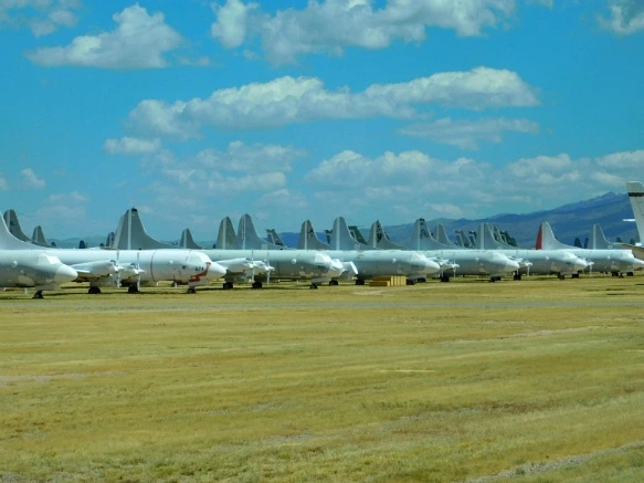 9960103359C87C321781A6