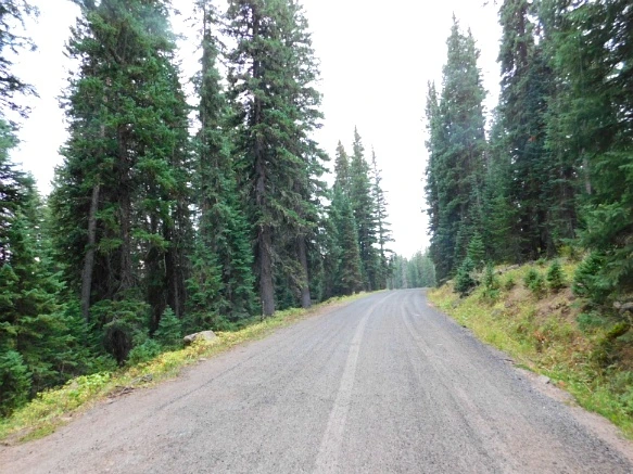 99E2D93359BF4713287539