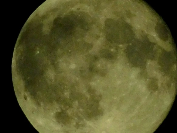 99278E3359B1EDDF2D5BA6