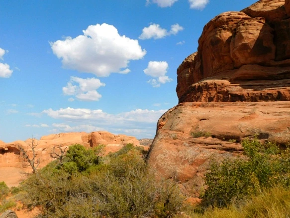 997C323359B31A630F7E59