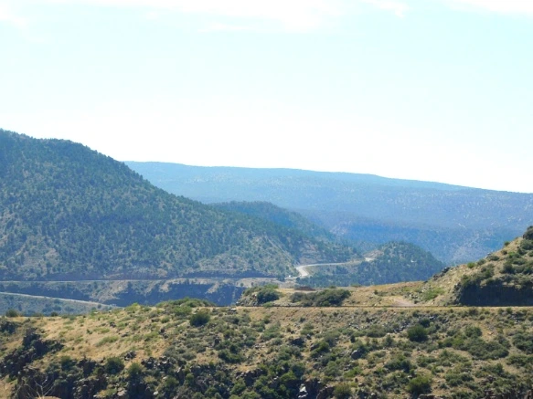 995D083359C87976294792