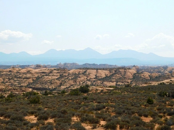 99CA773359B317130D31BC