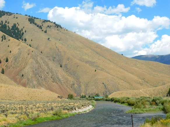 991EB43359AB28DF123839