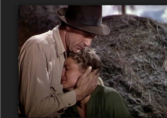 99CF9633599E93452B1ADD