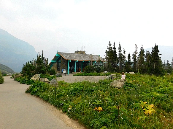 99BCFF465B8A03902B646E