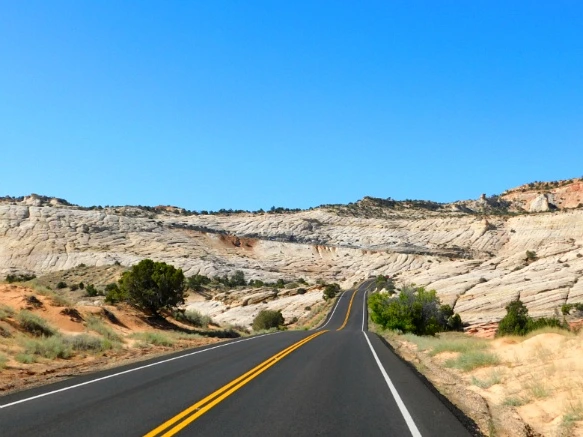 9968D83359B74D72180C19