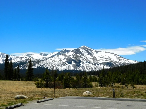 2509D042577218E1121F87