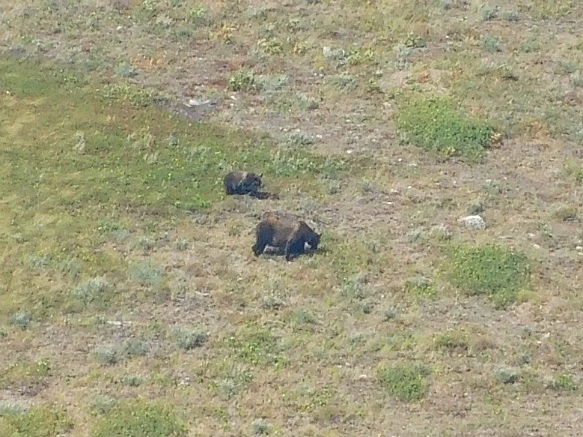 994350485B8F33430D977E