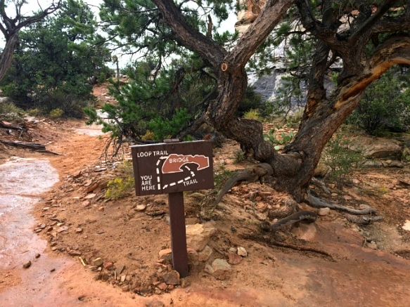 996E383359B74FE52E68EF