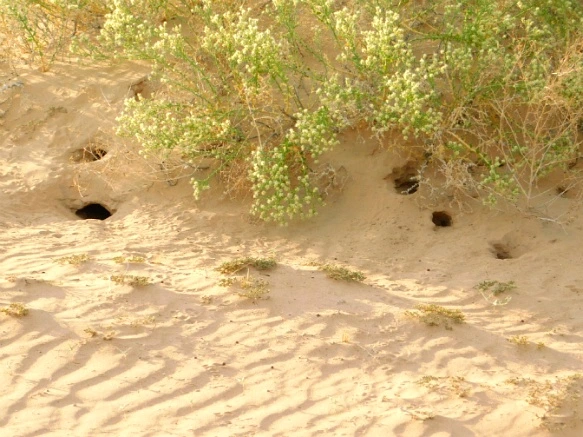 216BA734577B02AA070977