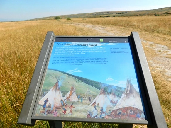 993FA33359AB2BB21478E7