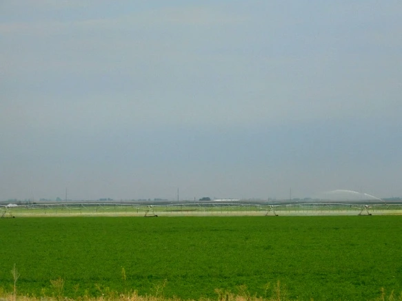 99B5993359A3833543EF5D