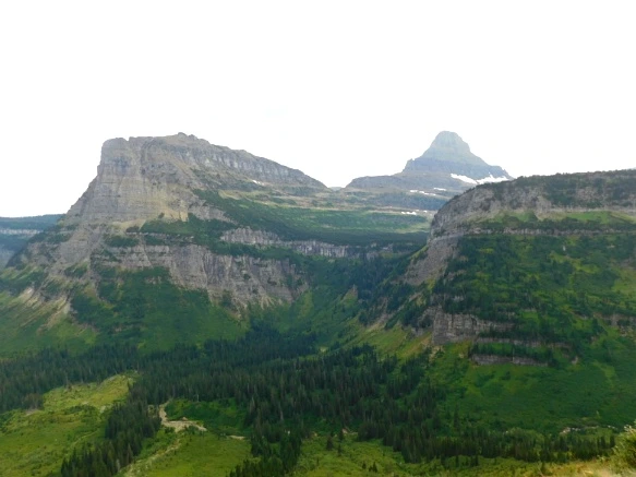 99507E3359A103C8258C99