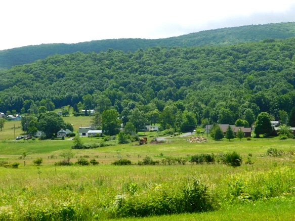 246C6444594C904A1D943C