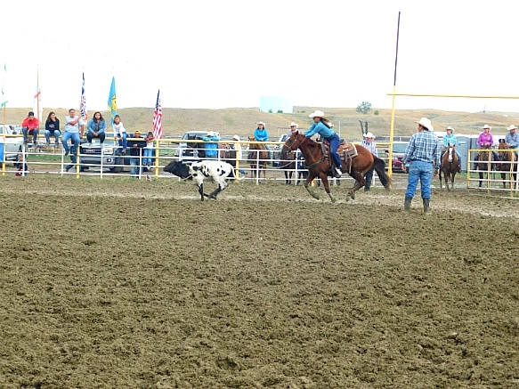 99A4DA495B7F80A237C99C