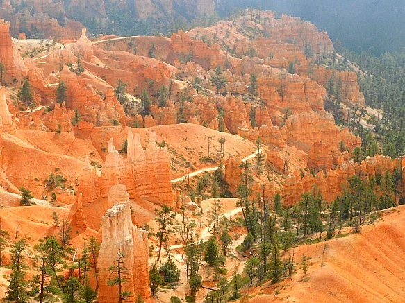 9992BC435BC56CF22DA595