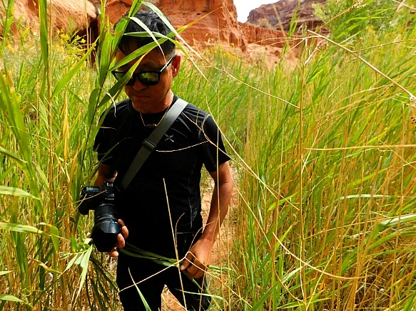 99A4F4435BBC2D5603627E