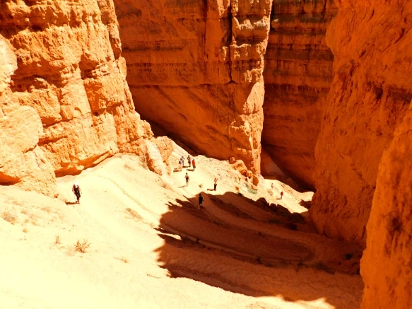 99146B3359B878A90F39F4