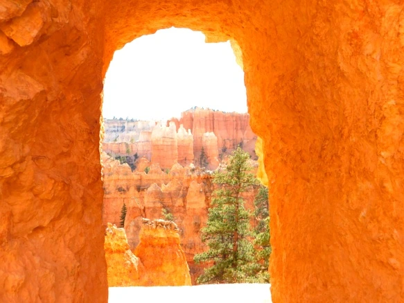 99469D3359B87B0521C595