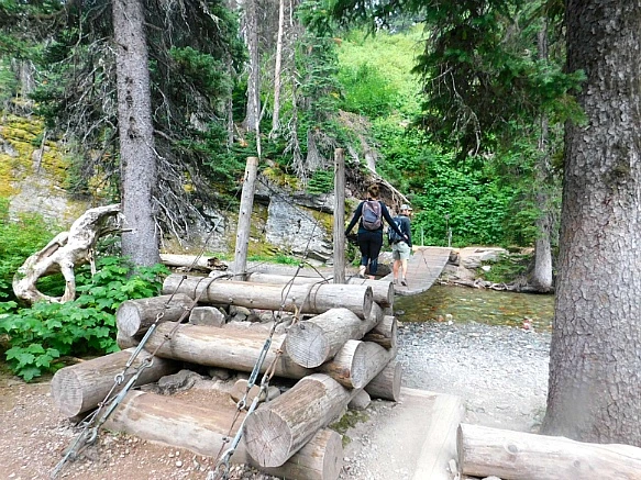 99F68E505B8CA0400345F4