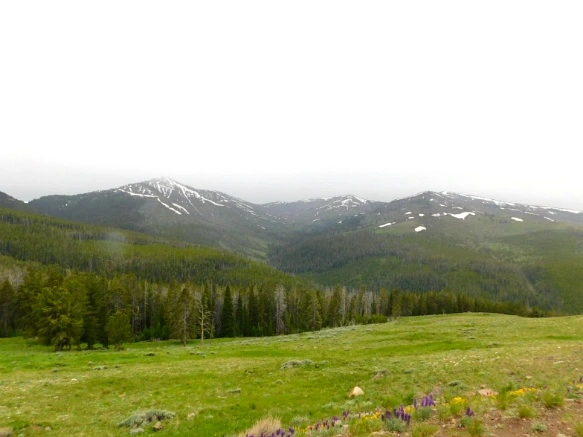 990262495B39A8490D022C