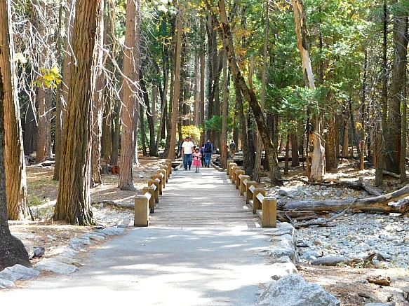 994E6D3C5BD6723335A590