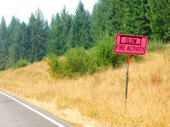 99B3F23359A62C7F320509