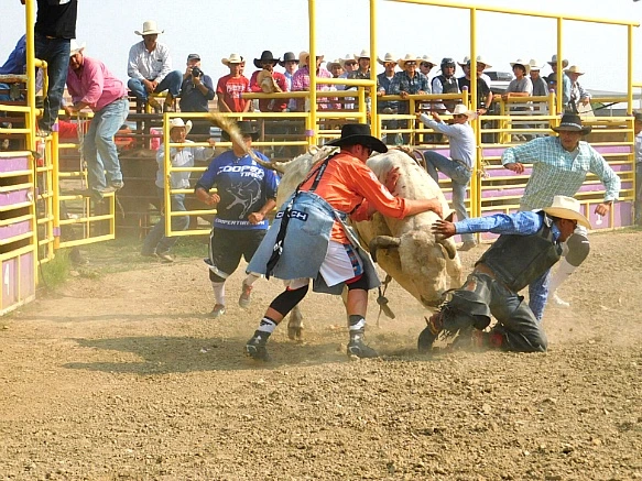 9949C83B5B7D9ECA02C307